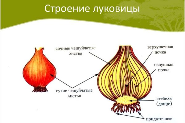 Kraken 12 at что это